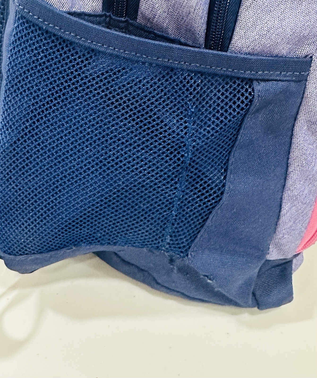 DICK’S Sporting Goods, DSG backpack