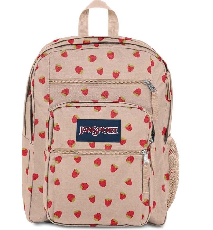 JanSport Laptop Backpack – Computer Bag with 2 Compartments, Ergonomic Shoulder