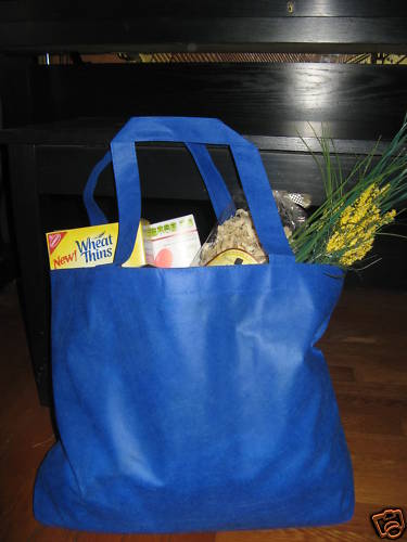 Eco Friendly Tote Bag. Large and Light. Useful. New..