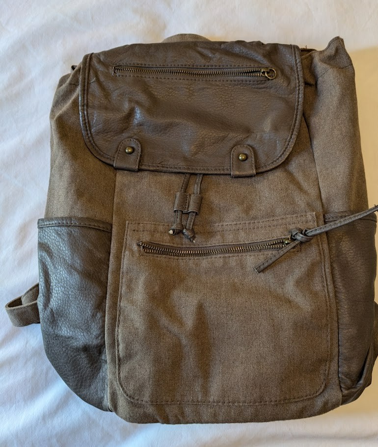 American Eagle Outfitters Unisex Taupe Canvas And Vegan Leather Backpack