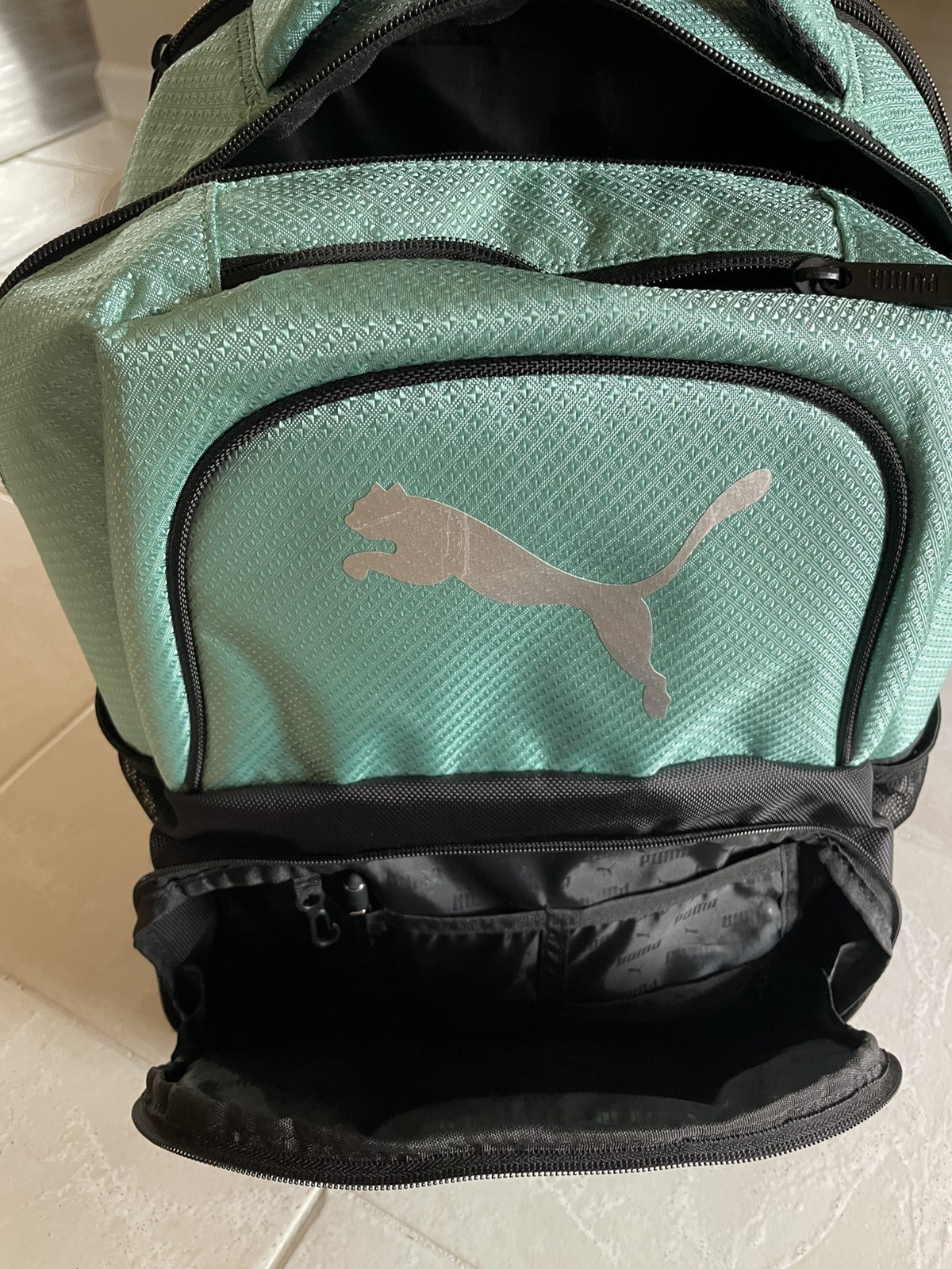 Puma Challenger Backpacks, (2) Blue and Green