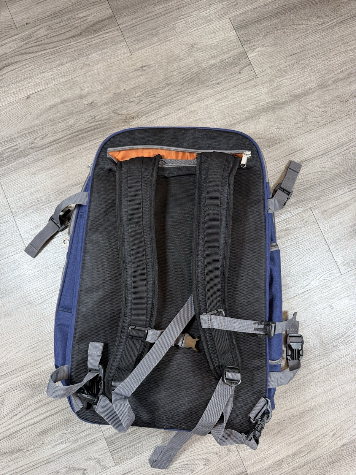 eBags Blue Travel Backpack Solid Zip Buckle Multiple Pockets Padded Straps