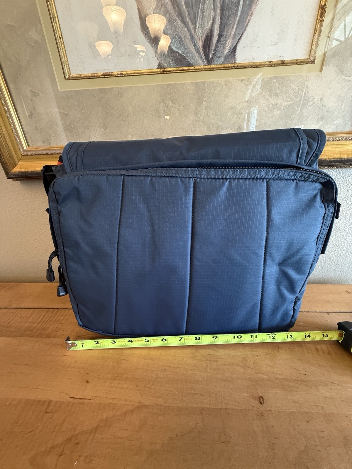 NWOT Wise-Walker Nomadic City Walker Messenger Bag Crossbody pockets Galore