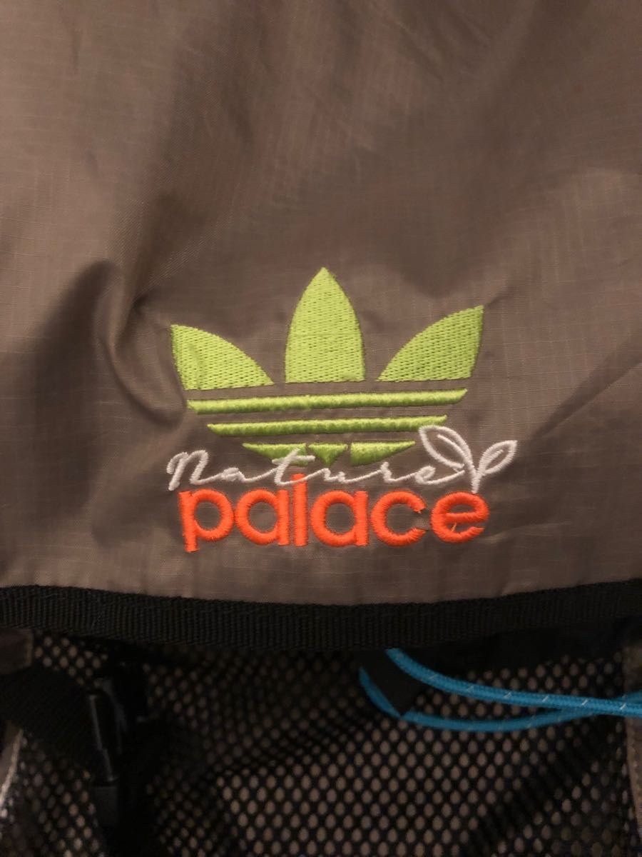 palace skateboards adidas backpack